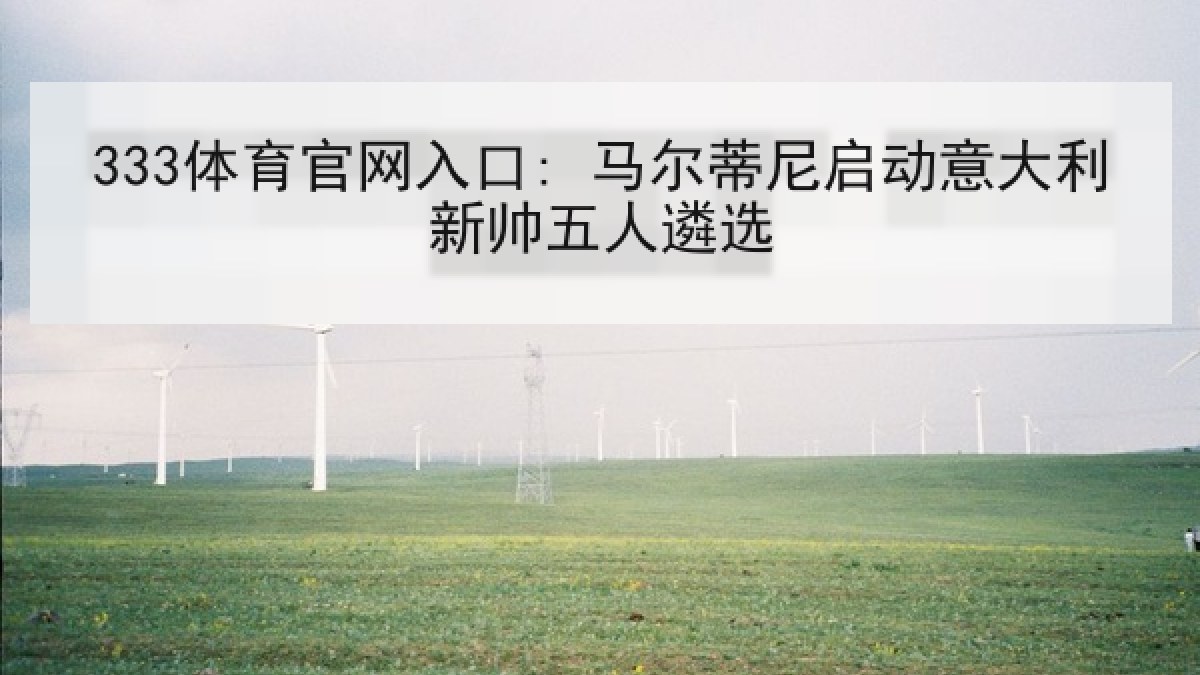 333体育官网入口: 马尔蒂尼启动意大利新帅五人遴选