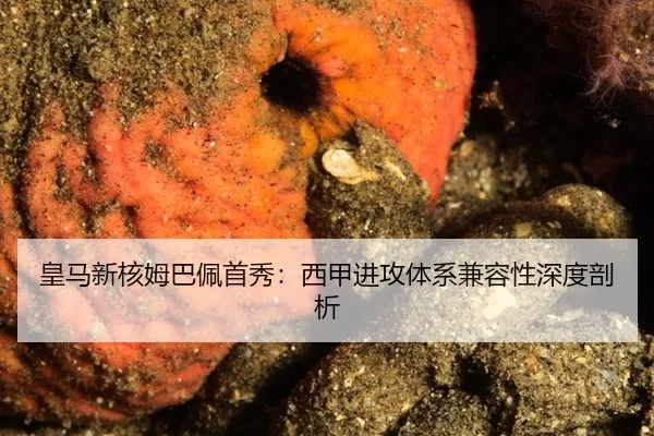 huang-ma-xin-he-mu-ba-pei-shou-xiu-xi-jia-jin-gong-ti-xi-jian-rong-xing-shen-du-pou-xi-2-560.jpg