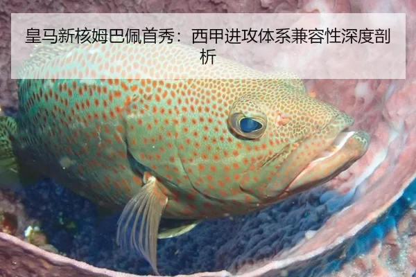 皇马新核姆巴佩首秀：西甲进攻体系兼容性深度剖析