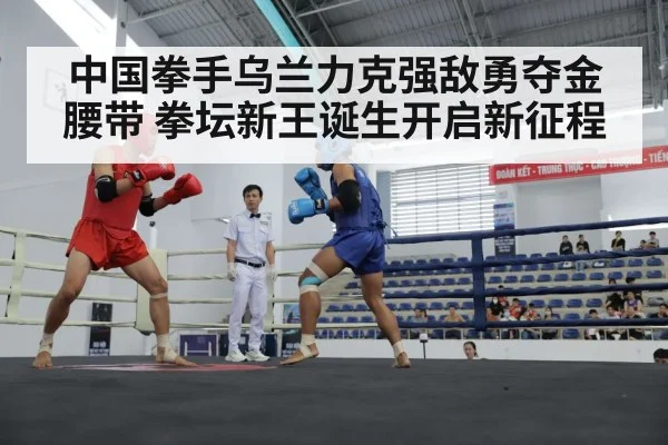 chinese boxer in ring